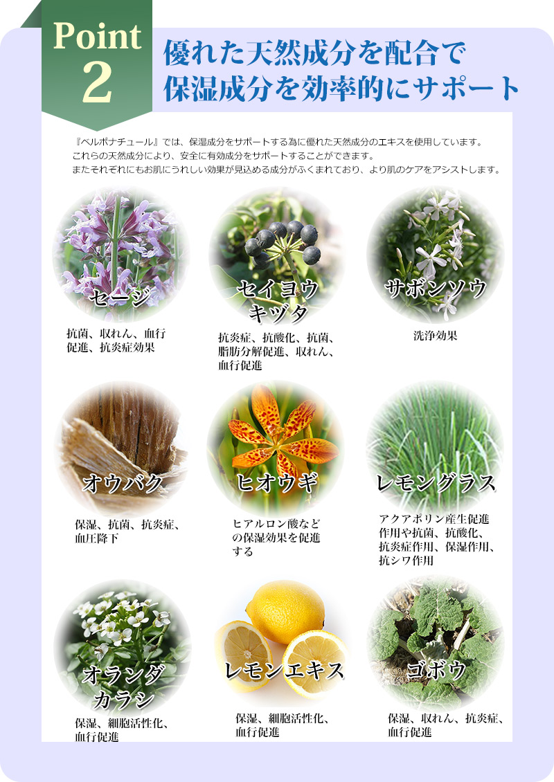 Point2 優れた天然成分を配合で保湿成分を効率的にサポート